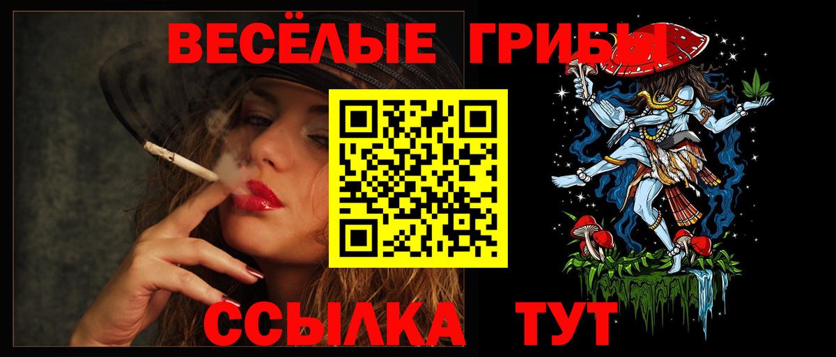 Галлюциногенные грибы Psilocybine cubensis  Псилоцибиновые грибы MAGIC MUSHROOMS  где можно купить   Вход с VPN  Истра 